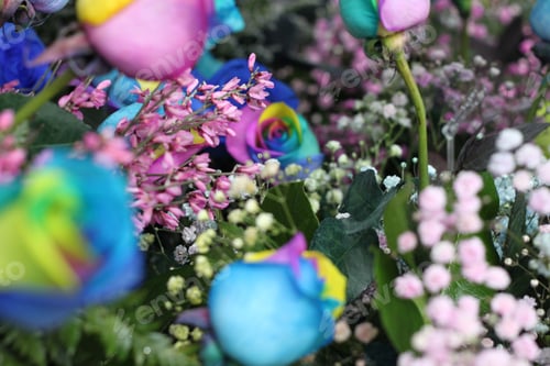 Preview: A Floral Bouquet Of Multicolor Roses With Pink Ginestra And Snowy Babys Breath 7657