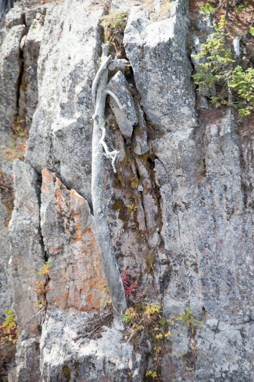 Preview: Stone Cliffs In The Sunshine