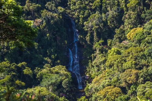 Preview: View Of Cascatinha Taunay (Taunay Waterfall) At Floresta Da Tijuca (Tijuca Forest) - Rio De