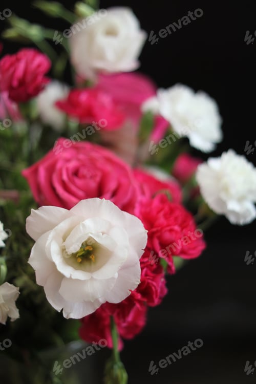 Preview: A Bouquet Of Red White And Pink Roses 1701