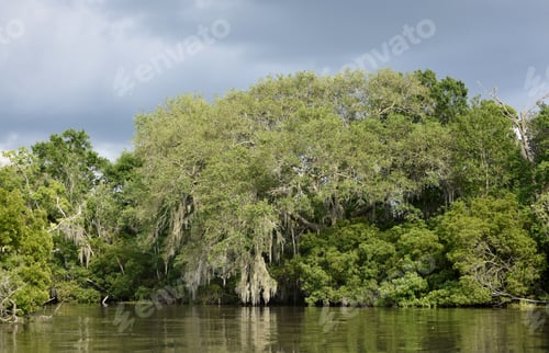 Preview: Dark Grey Storm Clouds Over The Bayou In Louisiana.
