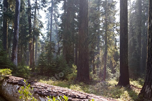 Preview: Late Summer 2017 The West Coast Of The Usa Had Lots Of Smoke In The Air, As Seen Here In The