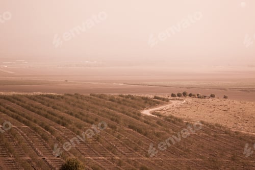 Preview: Jordan Valley In Israel In Monochrome