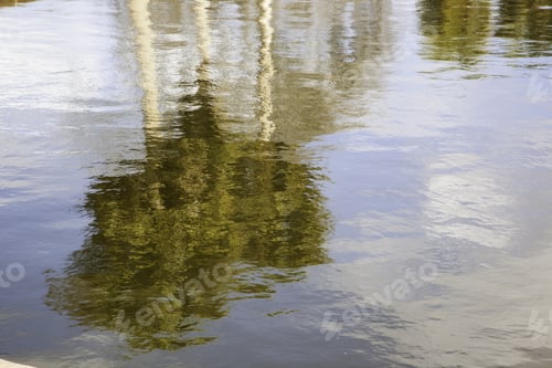 Aperçu: Reflection Of Tree And Sky In Water