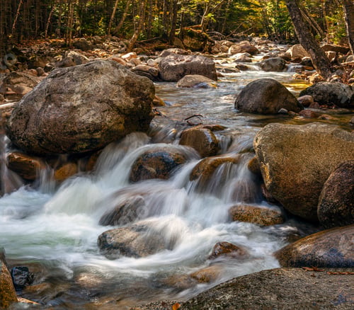 Preview: Autumn At The Swift River In New Hampshire