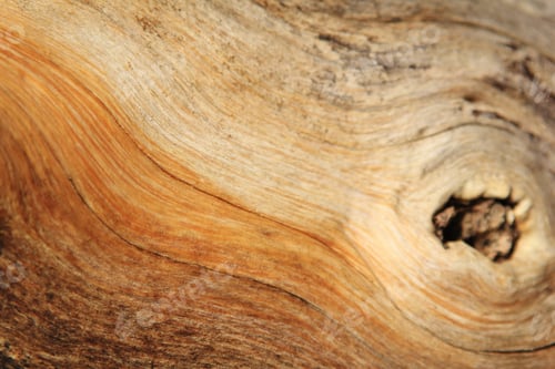 Preview: Wood Textured Background - Natural Beauty Through Hardwood