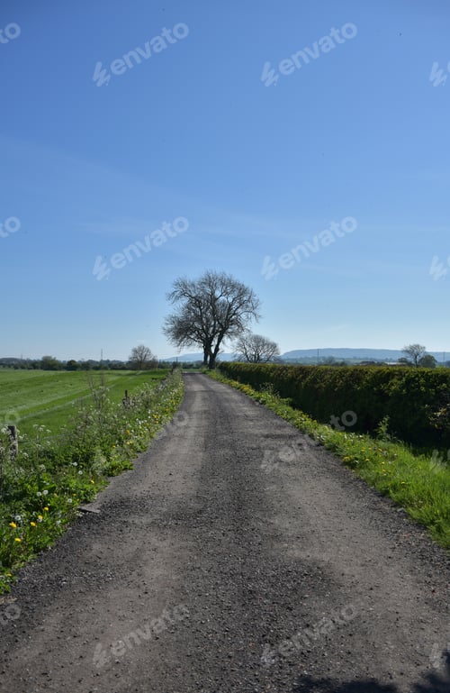 Preview: Packed Dirt Roadway In The Countryside Of Northern England.