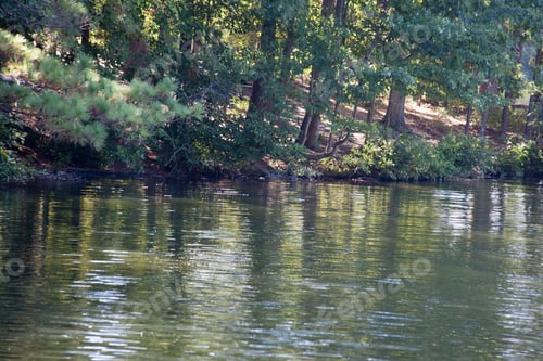 Preview: Lake And Shore Outdoors