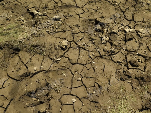 Preview: Cracked Soil Caused By Wrong Management Of Agriculture. Clays Are Contracted.