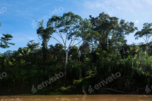 Preview: Image Of River In Peruvian Jungle. Amazon Forest During Day With Clouds. Open Nature Traveling In