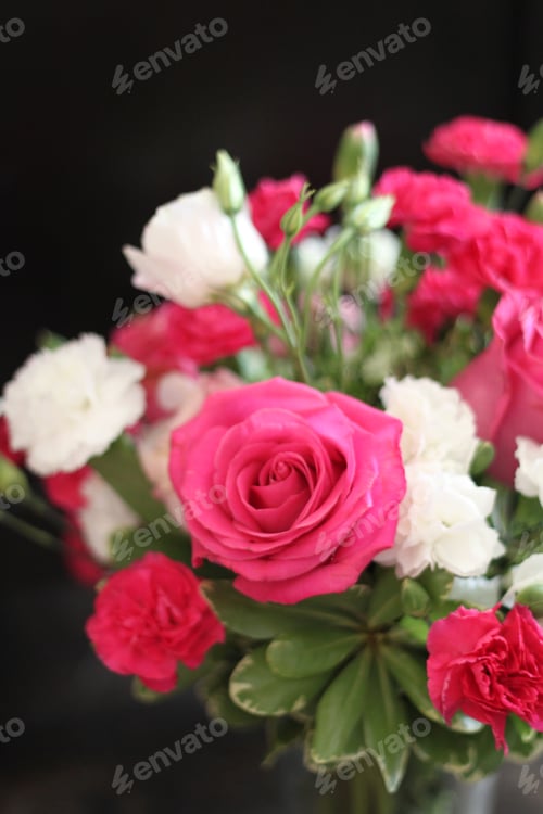 Preview: A Bouquet Of Red White And Pink Roses 1627