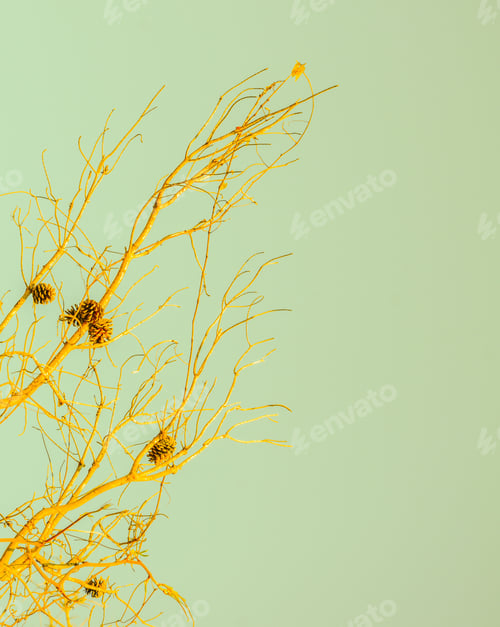 Preview: Color Enhanced Golden Pine Branches With Pine Cones On A Light Green Background
