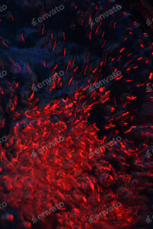 Preview: Rising Air Bubbles Of Color - Colorful Backgrounds - Red Motion And Blur