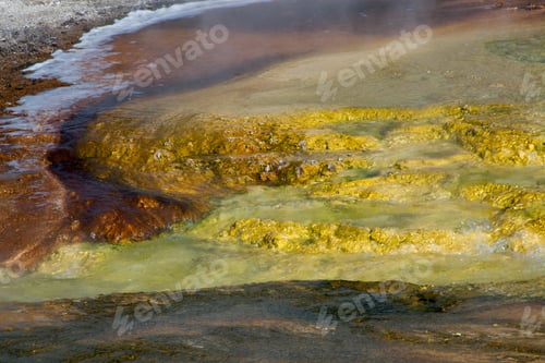 Preview: Abstract From Hot Springs In Yellowstone