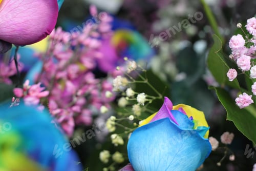 Preview: A Floral Bouquet Of Multicolor Roses With Pink Ginestra And Snowy Babys Breath 7644