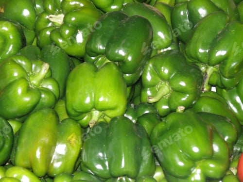 Preview: Green Peppers Art A Farm Stand.