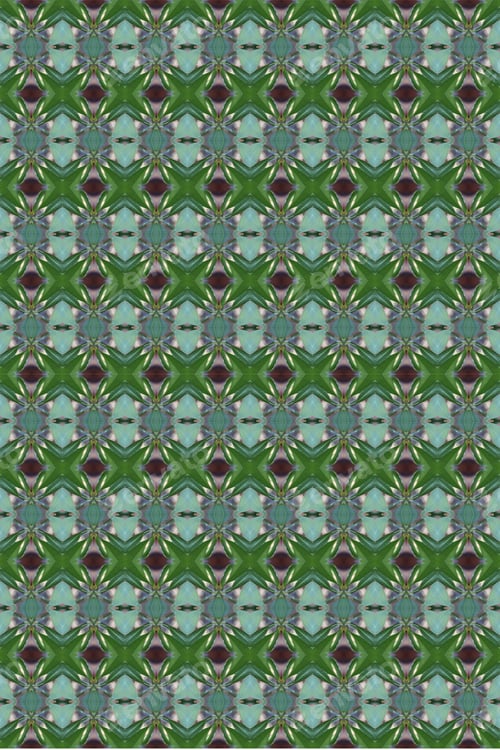 Preview: An Abstract Of Fresh Green Plumeria Rubra Leaves 0044