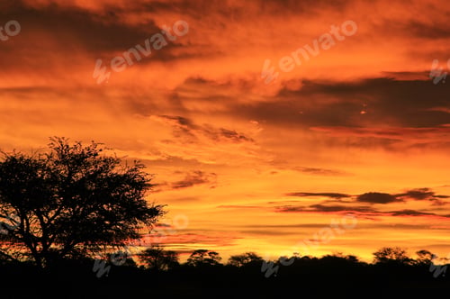 Preview: Sunset Harmony - Nature Background Of Color And Beauty - Tranquility Of Weather