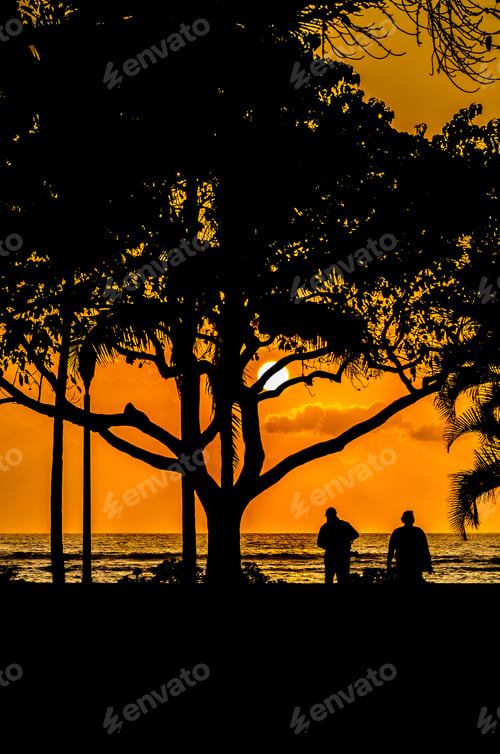 Preview: Palm And Tropical Trees Silhouette On Sunset Tropical Beach.