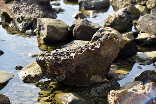 Preview: Unique Holes In The Rocks In A Tide Pool In Southern California