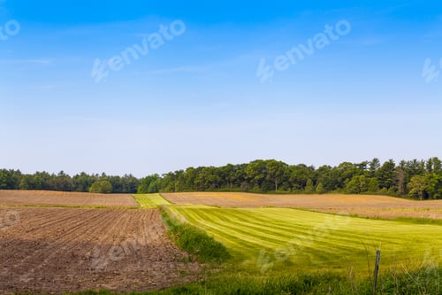 Preview: American Countryside