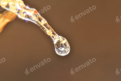 Preview: Winter Background - Ice In Colorful Nature - Golden Simple Freeze