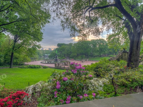 Preview: Bethesda Terrace Overlooks The Lake And As Well As The Wooded Shores Of The Ramble.