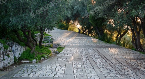 Preview: View Of Pedestrian Walkway Amidst Trees, Athens, Greece