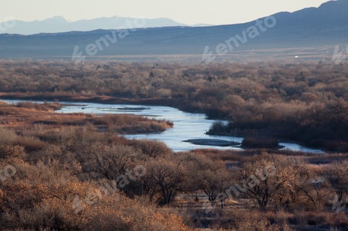 Preview: Morning At The Rio Grande River In Albuquerque