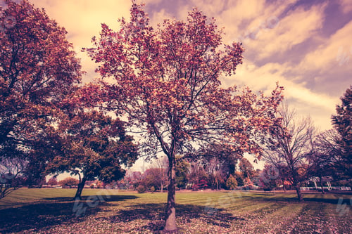 Preview: Autumn