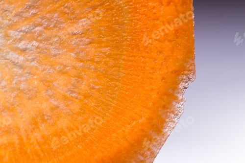 Preview: Close Up Of A Thin Slice Of Carrot Back Lit With A Beautiful Pattern And Glowing Orange Color