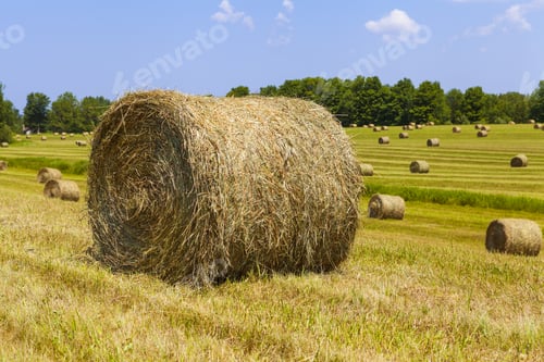 Preview: American Countryside Landscape With Bundles Of Hay