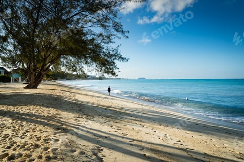 Preview: Tropical Beach In The Morning With Golden Sand And Palm Trees Looking Over A Calm Blue Ocean