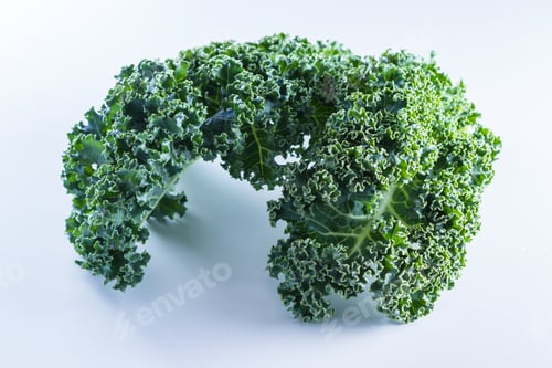 Preview: Close Up Of A Leaf Of Fresh Organic Kale On A White Background