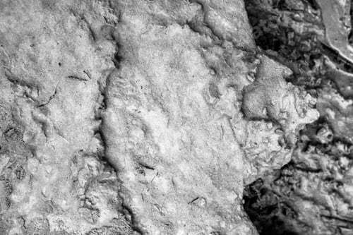 Preview: Image Of Ground, Textured Background Image Of Space Of Nature Floor.