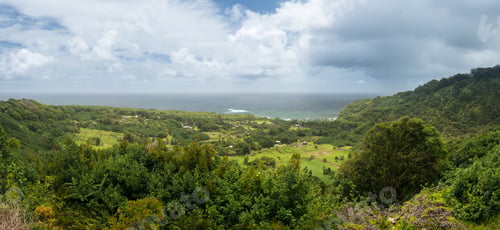 Preview: Taro Fields And Agriculture Near Keanae On The Road To Hana In Maui, Hawaii