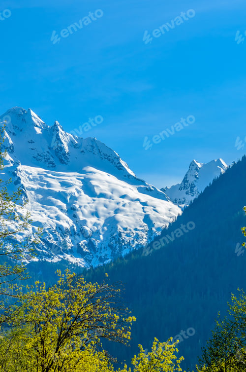 Preview: Fragment Of Mountain View In Vancouver, Canada.