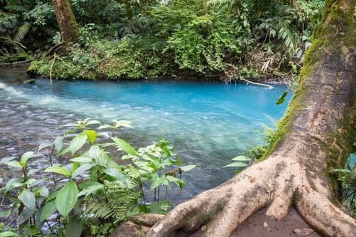 Preview: The Beginning Of Rio Celeste Or Turquoise River Is Where Two Other Rivers Meet And Because Of A