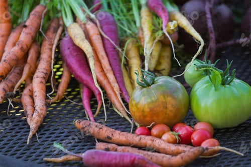 Preview: Organic Vegetables Grown In The Back Yard, Harvested In The Fall