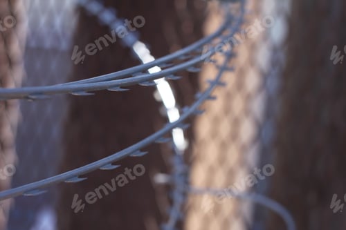 Preview: Large Loops Of Sharp Razor Wire Hang On Bollard Style Border Wall At The Us-Mexico Border 5084