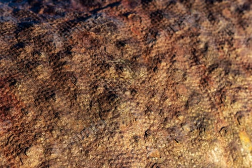 Preview: Rusty Metal Pipe