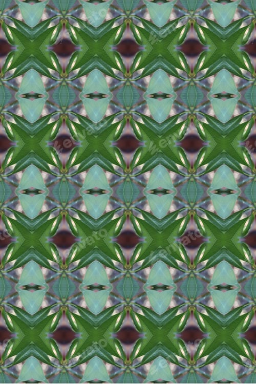 Preview: An Abstract Of Fresh Green Plumeria Rubra Leaves 0044