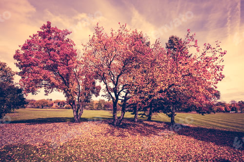 Preview: Autumn