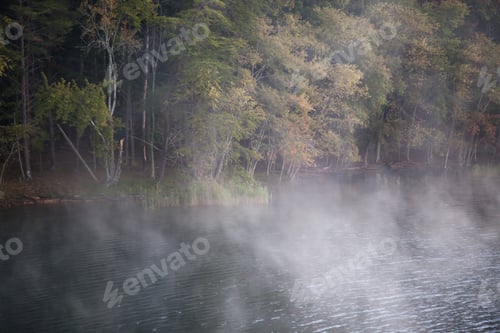 Preview: Early Morning Mist On A Quiet Lake Reflecting Trees
