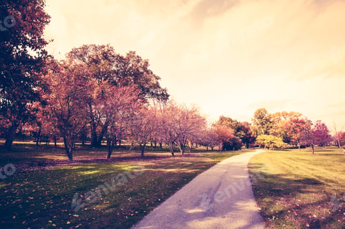 Preview: Autumn