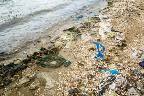 Preview: Image Of Polluted Beach Due To Littering.