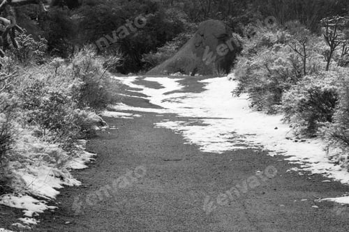 Preview: Path Through The Snowy Desert