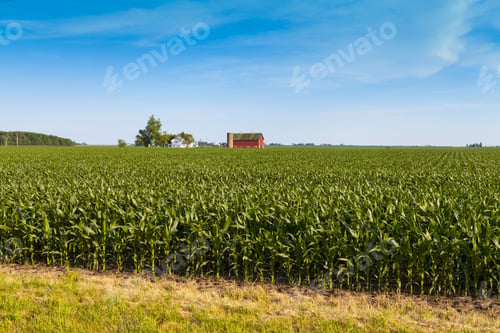 Preview: American Farmland With Blue Sky