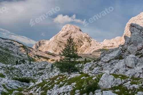 Preview: Landscape Photo Of The Views Atop A Rocky Mountain With Trees On A Sunny Day. Shot In Triglav