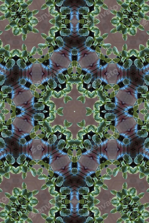 Preview: An Abstract Of A Peperomia Scandens Plant With Green And Creamy Heart Shaped Leaves 2599